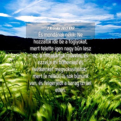 Picture 04 - 2 Krónika 28:13 KAR - És mondának nékik: Ne hozzátok ide be a - Bible Verse Picture