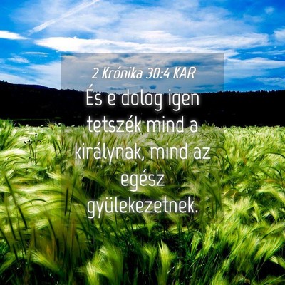 Picture 04 - 2 Krónika 30:4 KAR - És e dolog igen tetszék mind a királynak, mind - Bible Verse Picture