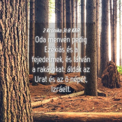 Picture 04 - 2 Krónika 31:8 KAR - Oda menvén pedig Ezékiás és a fejedelmek, és - Bible Verse Picture