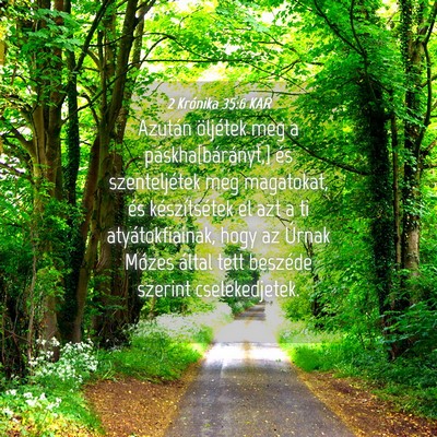 Picture 04 - 2 Krónika 35:6 KAR - Azután öljétek meg a páskha[bárányt,] és - Bible Verse Picture