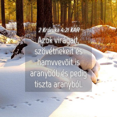 Picture 04 - 2 Krónika 4:21 KAR - Azok virágait, szövétnekeit és hamvvevõit is - Bible Verse Picture