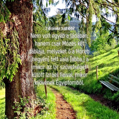 Picture 04 - 2 Krónika 5:10 KAR - Nem volt egyéb a ládában, hanem csak Mózes - Bible Verse Picture