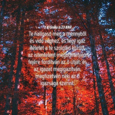 Picture 04 - 2 Krónika 6:23 KAR - Te hallgasd meg a mennybõl és vidd véghez, és - Bible Verse Picture