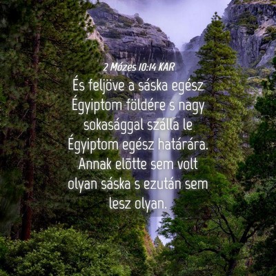 Picture 04 - 2 Mózes 10:14 KAR - És feljöve a sáska egész Égyiptom földére - Bible Verse Picture