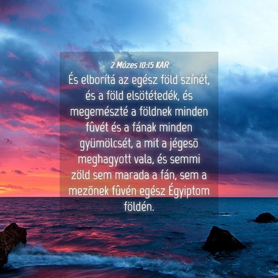 Picture 04 - 2 Mózes 10:15 KAR - És elborítá az egész föld színét, és a - Bible Verse Picture