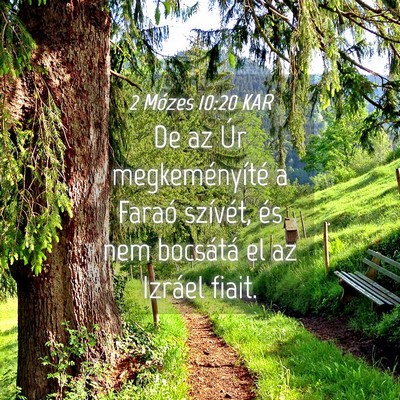 Picture 04 - 2 Mózes 10:20 KAR - De az Úr megkeményíté a Faraó szívét, és - Bible Verse Picture