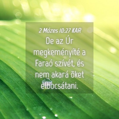 Picture 04 - 2 Mózes 10:27 KAR - De az Úr megkeményíté a Faraó szívét, és - Bible Verse Picture