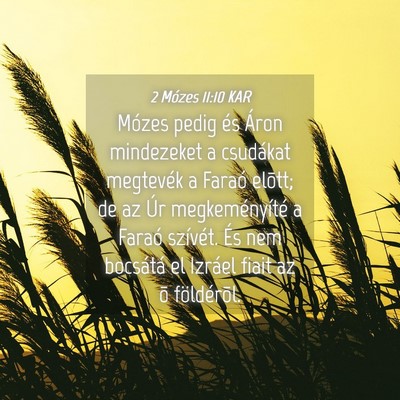 Picture 04 - 2 Mózes 11:10 KAR - Mózes pedig és Áron mindezeket a csudákat - Bible Verse Picture