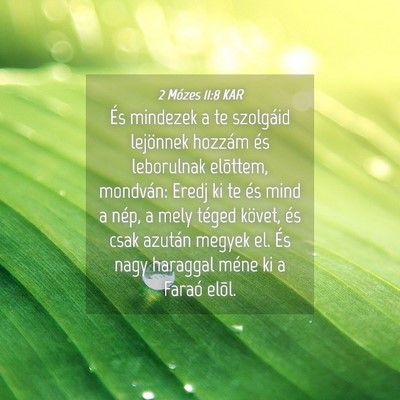 Picture 04 - 2 Mózes 11:8 KAR - És mindezek a te szolgáid lejönnek hozzám és - Bible Verse Picture