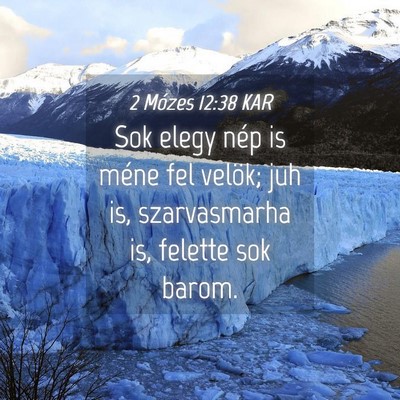 Picture 04 - 2 Mózes 12:38 KAR - Sok elegy nép is méne fel velök; juh is, - Bible Verse Picture