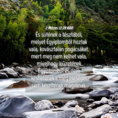 Picture 04 - 2 Mózes 12:39 KAR - És sütének a tésztából, melyet - Bible Verse Picture