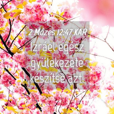 Picture 04 - 2 Mózes 12:47 KAR - Izráel egész gyülekezete készítse - Bible Verse Picture