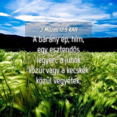 Picture 04 - 2 Mózes 12:5 KAR - A bárány ép, hím, egy esztendõs legyen; a - Bible Verse Picture