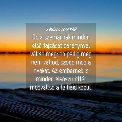 Picture 04 - 2 Mózes 13:13 KAR - De a szamárnak minden elsõ fajzását - Bible Verse Picture