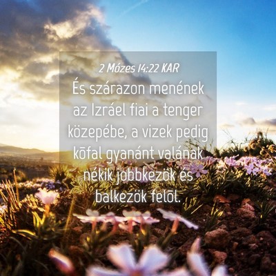 Picture 04 - 2 Mózes 14:22 KAR - És szárazon menének az Izráel fiai a tenger - Bible Verse Picture