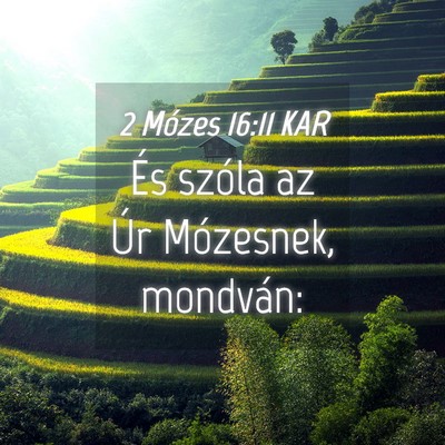 Picture 04 - 2 Mózes 16:11 KAR - És szóla az Úr Mózesnek, - Bible Verse Picture
