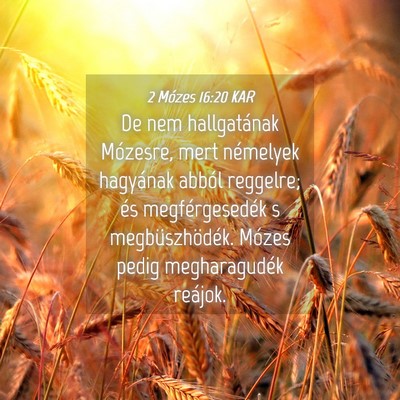 Picture 04 - 2 Mózes 16:20 KAR - De nem hallgatának Mózesre, mert némelyek - Bible Verse Picture