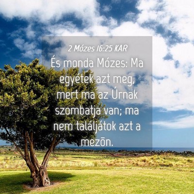 Picture 04 - 2 Mózes 16:25 KAR - És monda Mózes: Ma egyétek azt meg, mert ma az - Bible Verse Picture