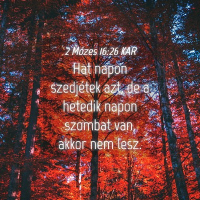 Picture 04 - 2 Mózes 16:26 KAR - Hat napon szedjétek azt, de a hetedik napon - Bible Verse Picture