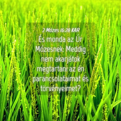 Picture 04 - 2 Mózes 16:28 KAR - És monda az Úr Mózesnek: Meddig nem akarjátok - Bible Verse Picture