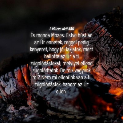 Picture 04 - 2 Mózes 16:8 KAR - És monda Mózes: Estve húst ád az Úr ennetek, - Bible Verse Picture