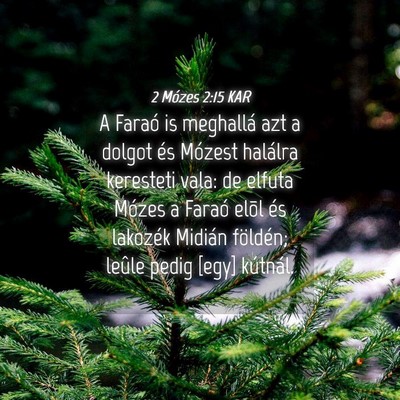 Picture 04 - 2 Mózes 2:15 KAR - A Faraó is meghallá azt a dolgot és Mózest - Bible Verse Picture