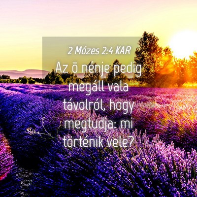 Picture 04 - 2 Mózes 2:4 KAR - Az õ nénje pedig megáll vala távolról, hogy - Bible Verse Picture