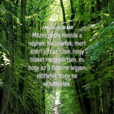 Picture 04 - 2 Mózes 20:20 KAR - Mózes pedig monda a népnek: Ne féljetek; mert - Bible Verse Picture