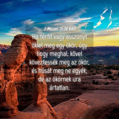 Picture 04 - 2 Mózes 21:28 KAR - Ha férfit vagy asszonyt öklel meg egy ökör, - Bible Verse Picture