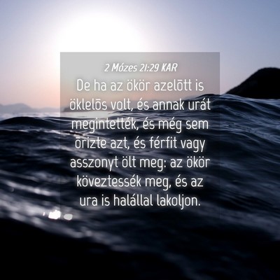 Picture 04 - 2 Mózes 21:29 KAR - De ha az ökör azelõtt is öklelõs volt, és - Bible Verse Picture