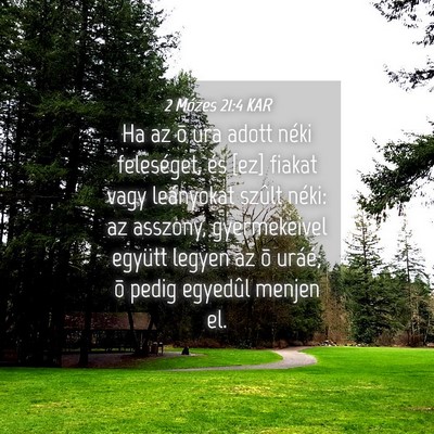 Picture 04 - 2 Mózes 21:4 KAR - Ha az õ ura adott néki feleséget, és [ez] - Bible Verse Picture