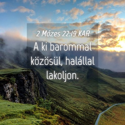 Picture 04 - 2 Mózes 22:19 KAR - A ki barommal közösül, halállal - Bible Verse Picture