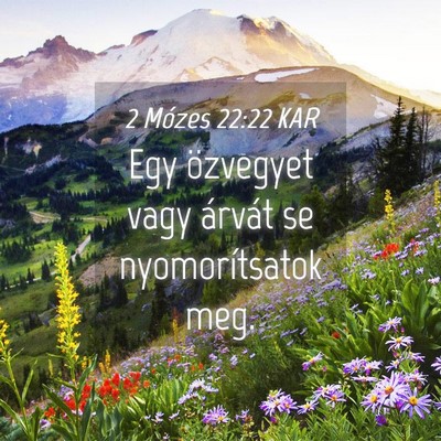 Picture 04 - 2 Mózes 22:22 KAR - Egy özvegyet vagy árvát se nyomorítsatok - Bible Verse Picture