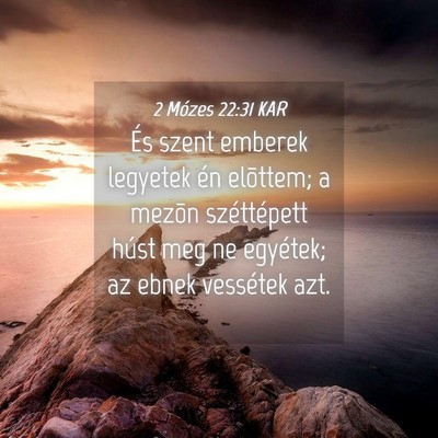 Picture 04 - 2 Mózes 22:31 KAR - És szent emberek legyetek én elõttem; a mezõn - Bible Verse Picture