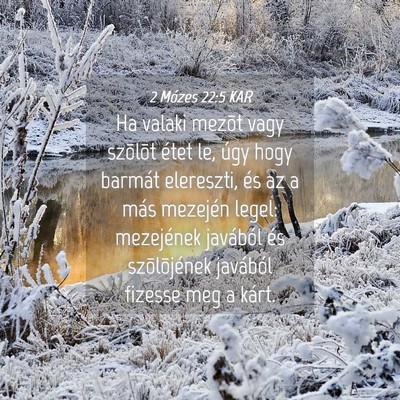Picture 04 - 2 Mózes 22:5 KAR - Ha valaki mezõt vagy szõlõt étet le, úgy - Bible Verse Picture