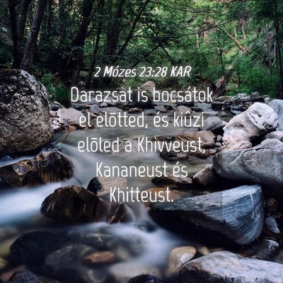 Picture 04 - 2 Mózes 23:28 KAR - Darazsat is bocsátok el elõtted, és kiûzi - Bible Verse Picture