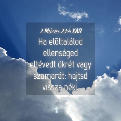 Picture 04 - 2 Mózes 23:4 KAR - Ha elõltalálod ellenséged eltévedt ökrét - Bible Verse Picture