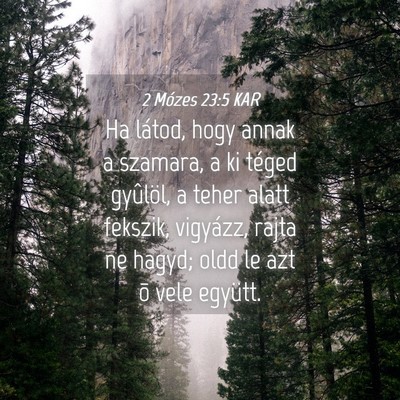 Picture 04 - 2 Mózes 23:5 KAR - Ha látod, hogy annak a szamara, a ki téged - Bible Verse Picture