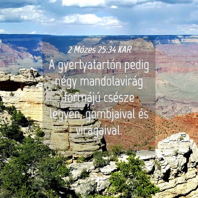 Picture 04 - 2 Mózes 25:34 KAR - A gyertyatartón pedig négy mandolavirág - Bible Verse Picture