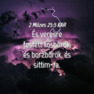 Picture 04 - 2 Mózes 25:5 KAR - És veresre festett kosbõrök, és borzbõrök, - Bible Verse Picture
