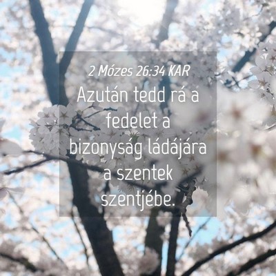 Picture 04 - 2 Mózes 26:34 KAR - Azután tedd rá a fedelet a bizonyság - Bible Verse Picture
