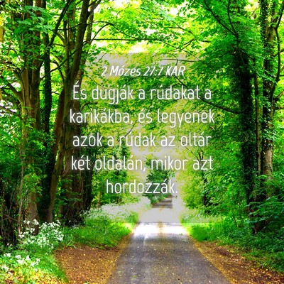 Picture 04 - 2 Mózes 27:7 KAR - És dugják a rúdakat a karikákba, és legyenek - Bible Verse Picture