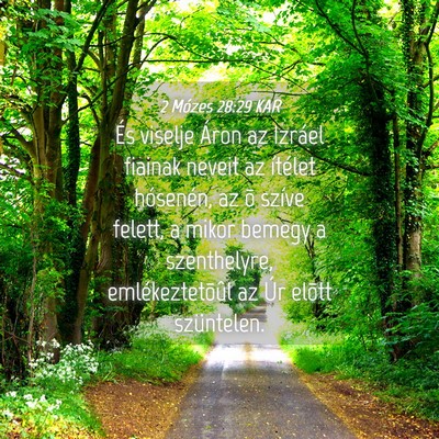 Picture 04 - 2 Mózes 28:29 KAR - És viselje Áron az Izráel fiainak neveit az - Bible Verse Picture