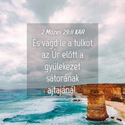 Picture 04 - 2 Mózes 29:11 KAR - És vágd le a tulkot az Úr elõtt a gyülekezet - Bible Verse Picture