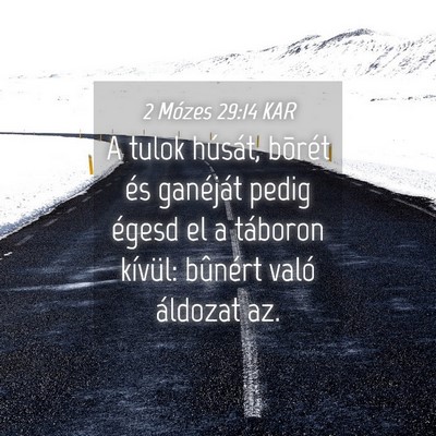 Picture 04 - 2 Mózes 29:14 KAR - A tulok húsát, bõrét és ganéját pedig - Bible Verse Picture