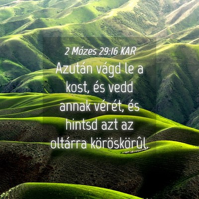 Picture 04 - 2 Mózes 29:16 KAR - Azután vágd le a kost, és vedd annak vérét, - Bible Verse Picture