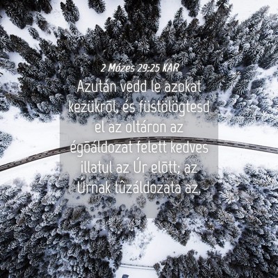 Picture 04 - 2 Mózes 29:25 KAR - Azután vedd le azokat kezükrõl, és - Bible Verse Picture