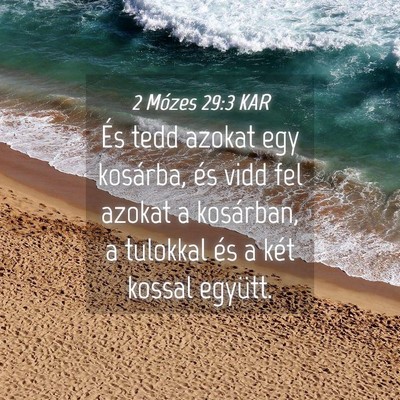 Picture 04 - 2 Mózes 29:3 KAR - És tedd azokat egy kosárba, és vidd fel azokat - Bible Verse Picture