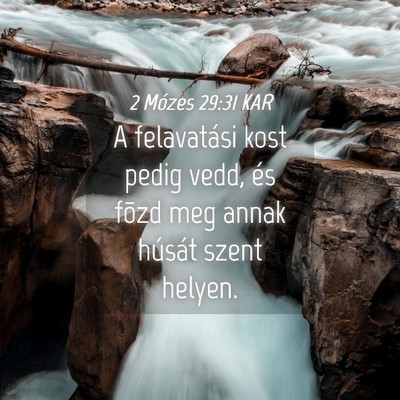 Picture 04 - 2 Mózes 29:31 KAR - A felavatási kost pedig vedd, és fõzd meg - Bible Verse Picture