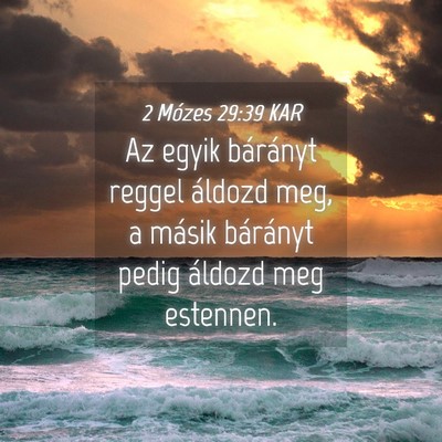 Picture 04 - 2 Mózes 29:39 KAR - Az egyik bárányt reggel áldozd meg, a másik - Bible Verse Picture